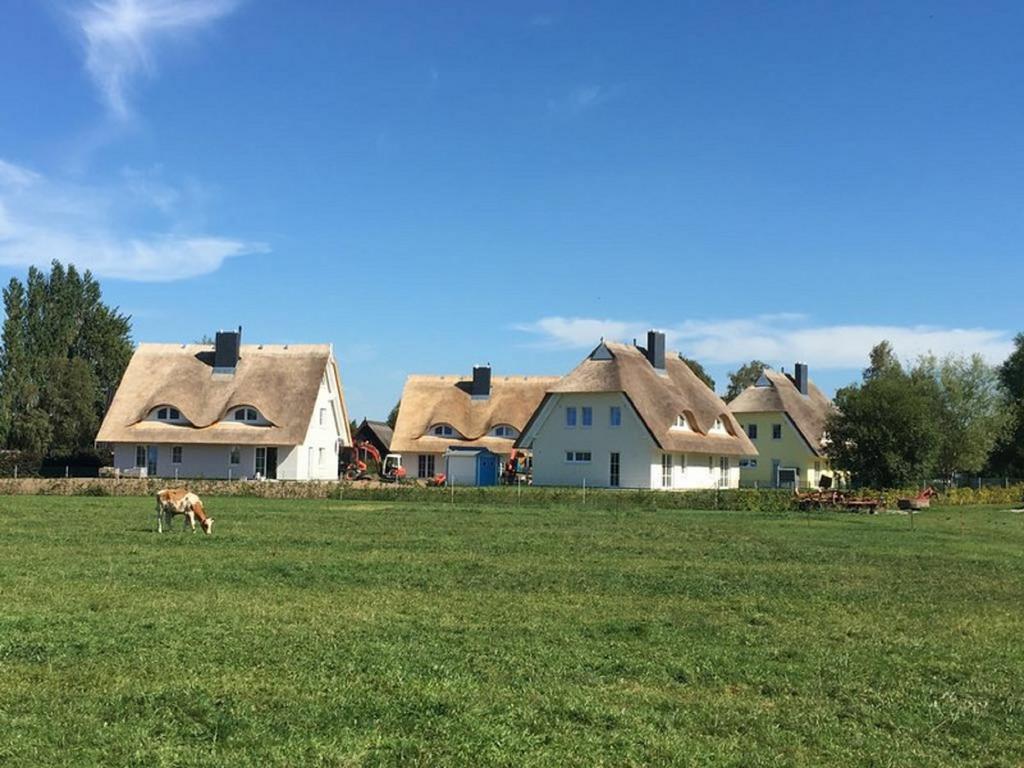 Reetdachhaeuser Boergerende 외부 사진